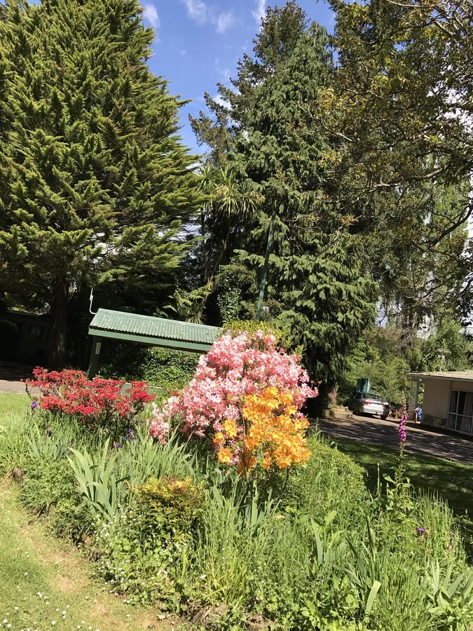 Golden Springs Motel, Holiday Park ロトルア エクステリア 写真